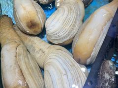 -宝燕壹号(徐汇店)