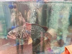 -海底捞大排档火锅(打浦路店)