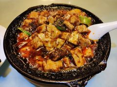 -陈麻婆豆腐总店