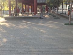 -莲湖公园