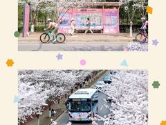 -高东镇樱花园