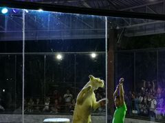 -清迈夜间动物园