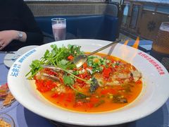 -坛宗剁椒鱼头(河西王府井店)