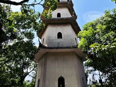 -江心屿景区