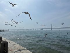 -星海广场