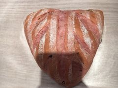 芝士火龙果-奈雪的茶(新天地广场PRO店)