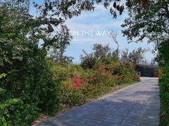 -厦门湾·白塘湾火山公园