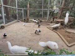 -柳州市动物园