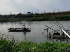 -大湾区中央湿地公园