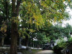 -蒋氏故居