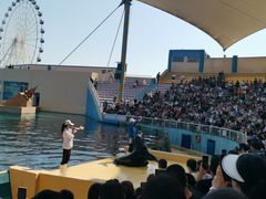 -秦皇岛乐岛海洋王国