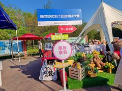 -朝阳公园游乐园