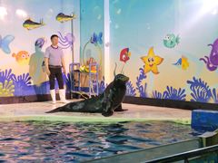 -太平洋海底世界