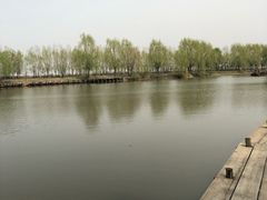 -白渔泡湿地公园