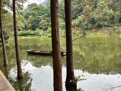 -深圳仙湖植物园