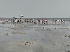 -放鸡岛生态旅游国际度假区