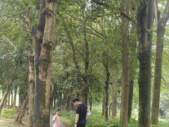 -福建鲤鱼洲酒店