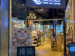 -藏猫猫咖啡主题馆(中央大道店)