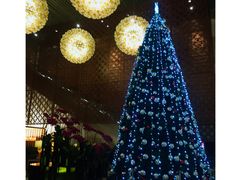 -天津君隆威斯汀酒店