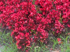 -上海交通大学(闵行校区)