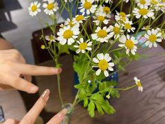 -鲸山上·私房日料(泰达MSD店)