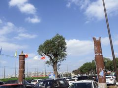 -野生动物园-停车场
