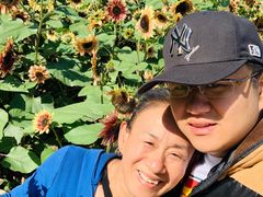 -长白岛森林公园