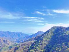 -大岭沟猕猴桃谷风景区