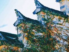 -塔川景区