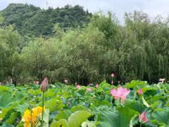 -贵阳蓬莱仙界
