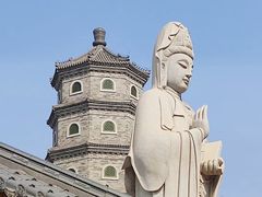 -天津大悲禅院