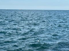 -悦海公园