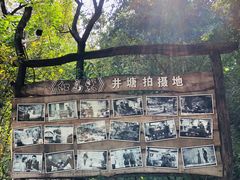 -井塘古村