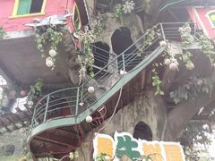-龙头寺公园