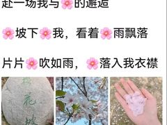 -堤角公园