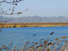-野鸭湖国家湿地公园