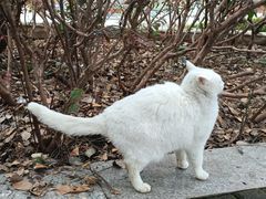 -苏州河梦清园环保主题公园