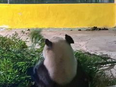 -杭州野生动物世界