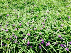 android_upload_pic-南馆公园