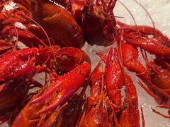 -舞虾小说.涮肉.烧烤(国顺东路店)