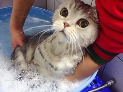 -FAELING PETS美天灵宠物(富力广场店)