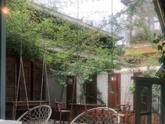 -喵屿·大理花园猫咖