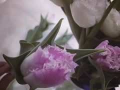 -Butchart布查德鲜花(花艺设计中心)