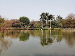 -海珠湖公园