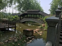 景点-合肥滨湖国家森林公园