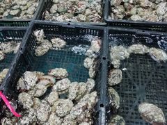 -渔人湾码头海鲜市场负二楼