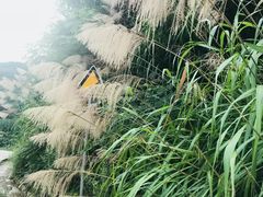 -远山有窑