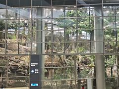 -上海科技馆(地铁站)