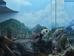 -武汉动物园