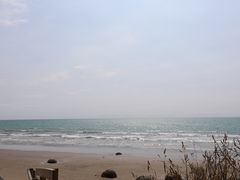 -摩拉基大圆石